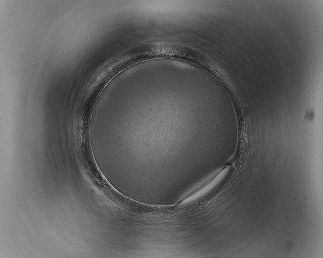 X0000115450722200911181546