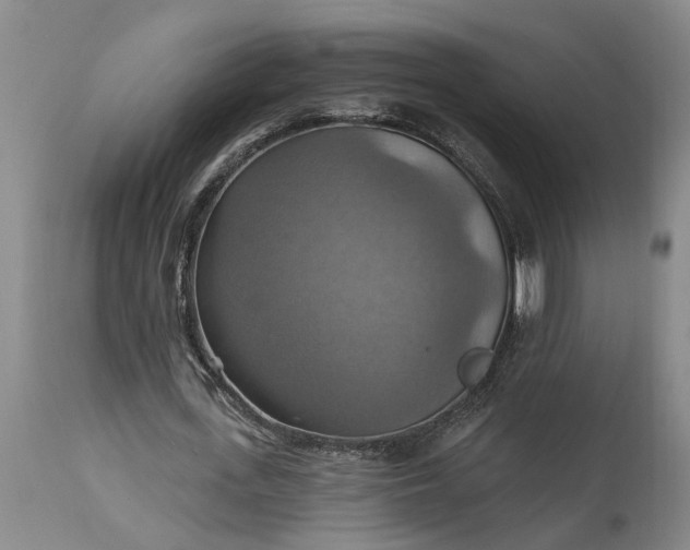 X0000115450723200911181546