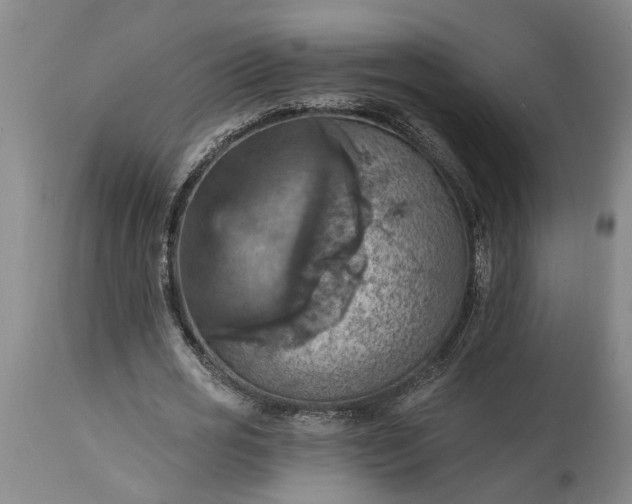 X0000115450725200911181546