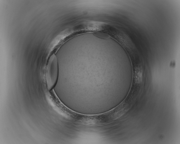 X0000115450726200911181546