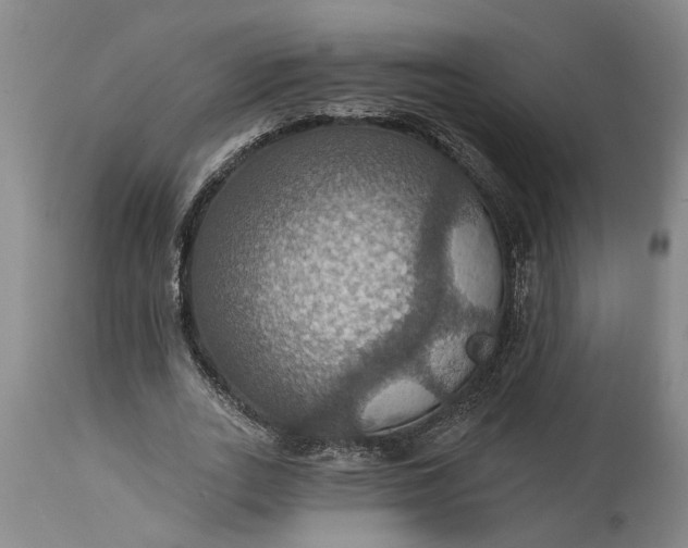 X0000115450727200911181546