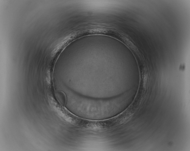 X0000115450729200911181546