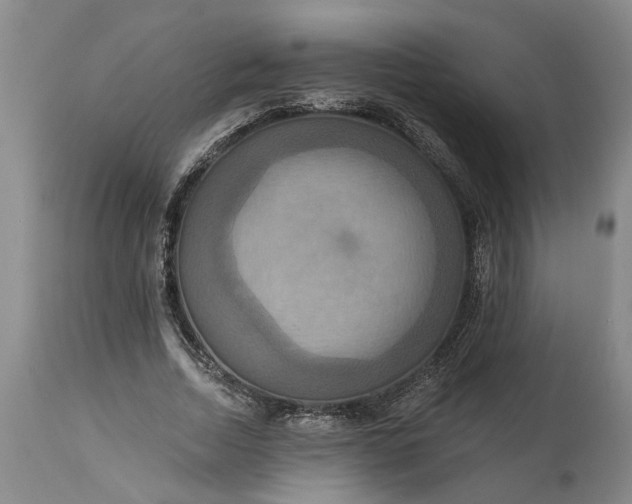 X0000115450730200911181546