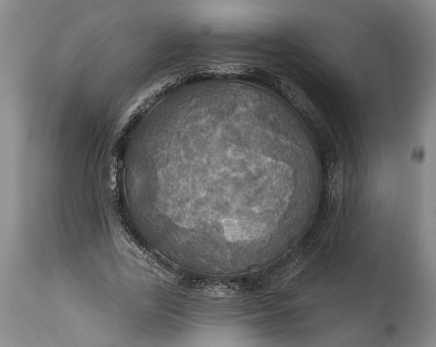 X0000115450731200911181546