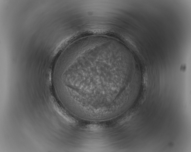 X0000115450733200911181546