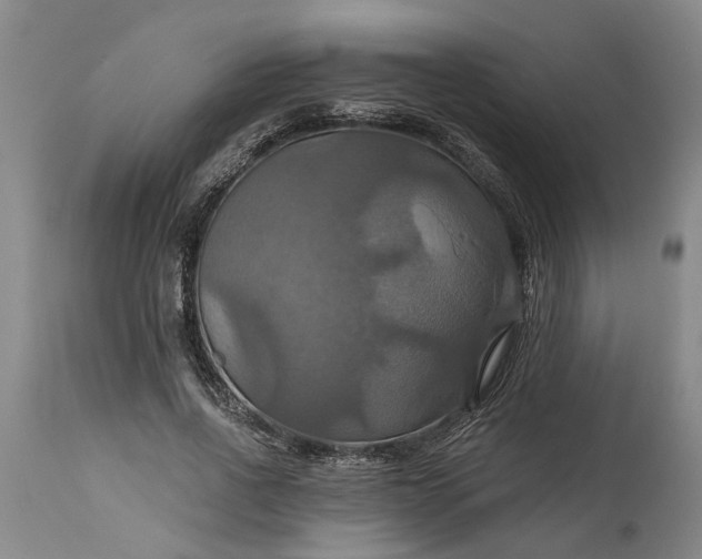 X0000115450734200911181546