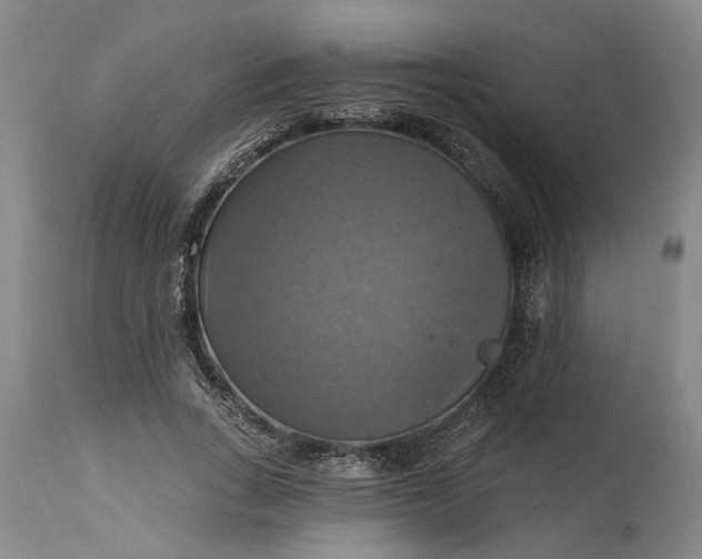 X0000115450735200911181546