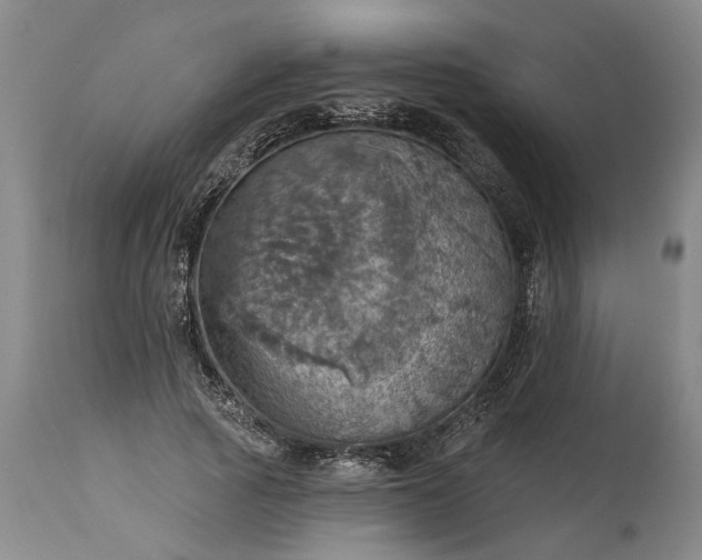 X0000115450737200911181546