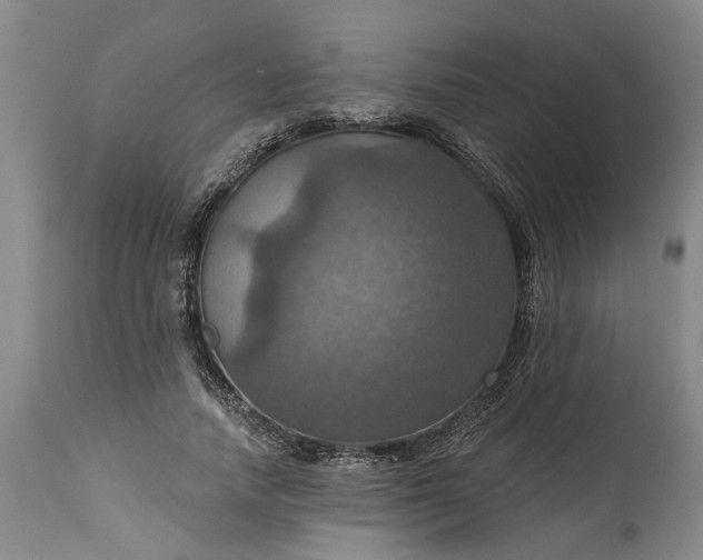 X0000115450738200911181546