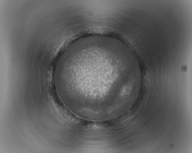 X0000115450739200911181546