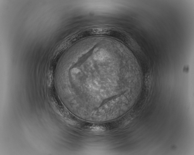 X0000115450741200911181546