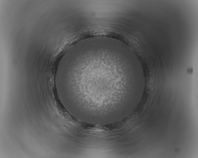 X0000115450743200911181546