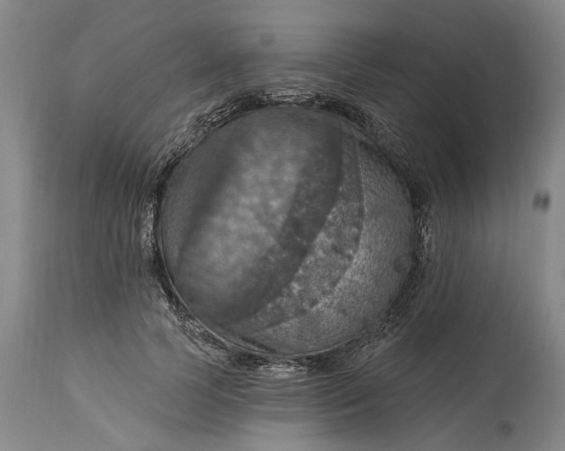 X0000115450745200911181546