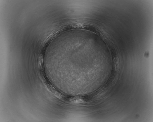 X0000115450747200911181547