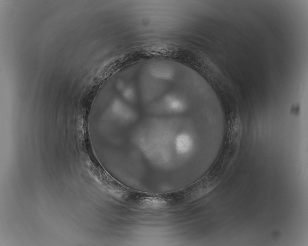 X0000115450749200911181547