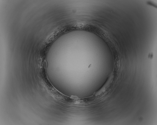 X0000115450750200911181547