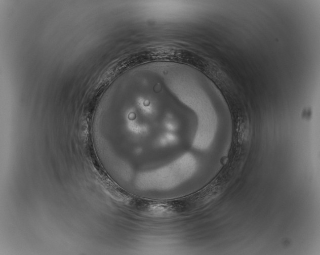 X0000115450753200911181547