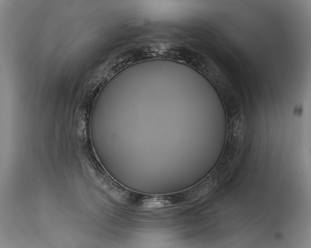 X0000115450754200911181547