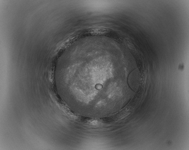 X0000115450755200911181547