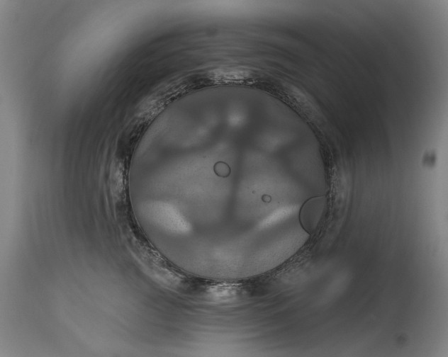 X0000115450761200911181547