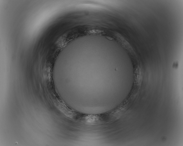 X0000115450762200911181547