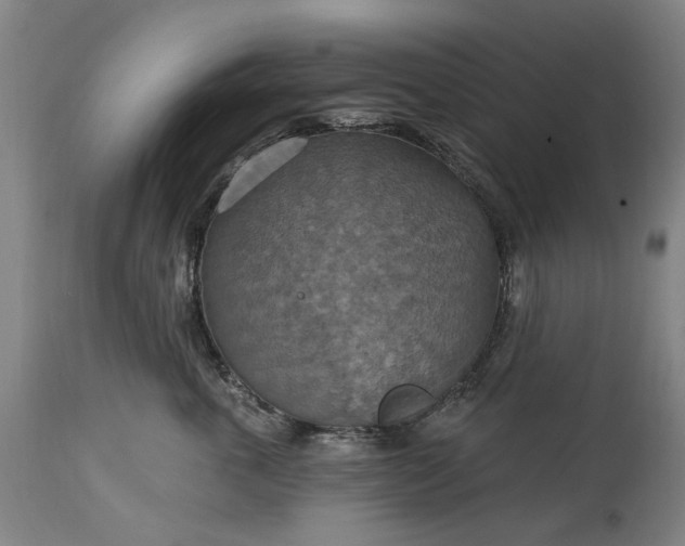 X0000115450763200911181547