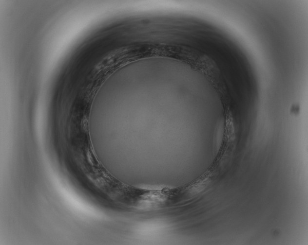 X0000115450765200911181547