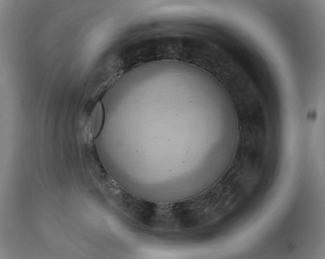 X0000115450766200911181547