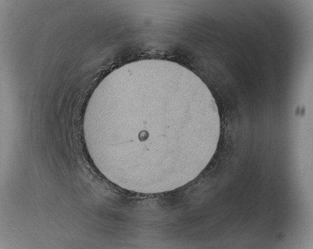 X0000115450769200911181546