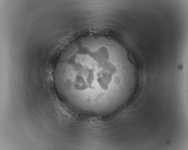 X0000115450770200911181546