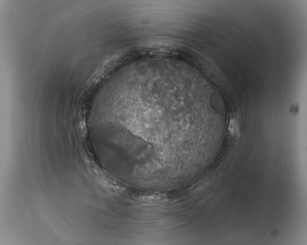 X0000115450771200911181546