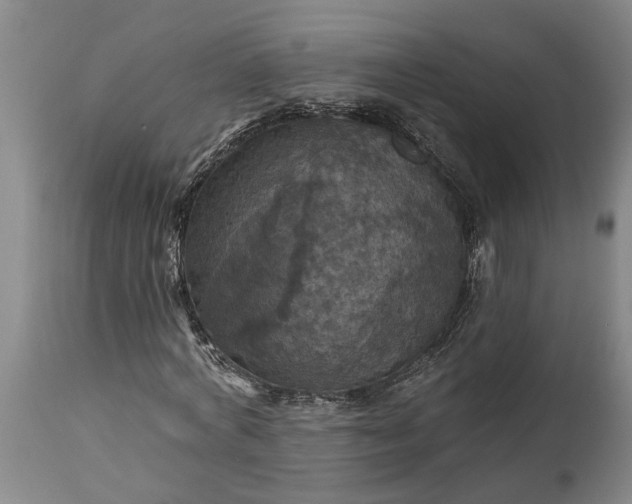 X0000115450772200911181546