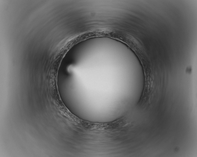 X0000115450773200911181546