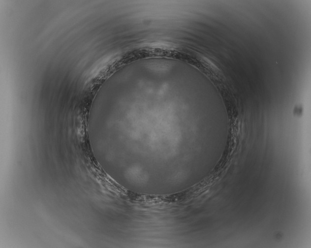 X0000115450774200911181546