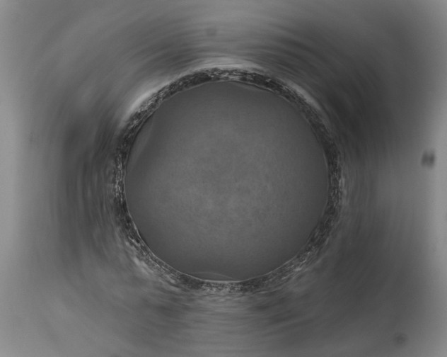 X0000115450775200911181546