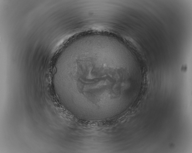 X0000115450776200911181546