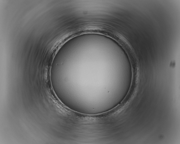 X0000115450777200911181546