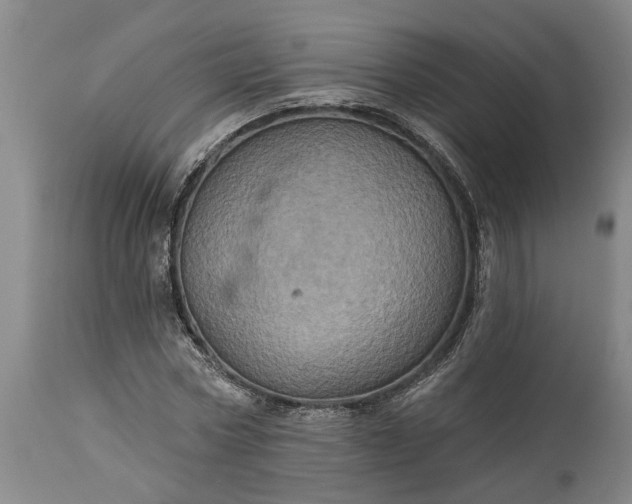 X0000115450778200911181546