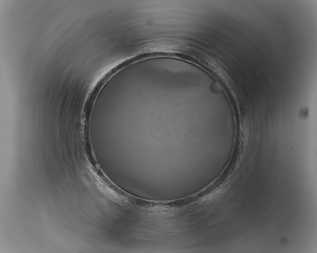 X0000115450779200911181546