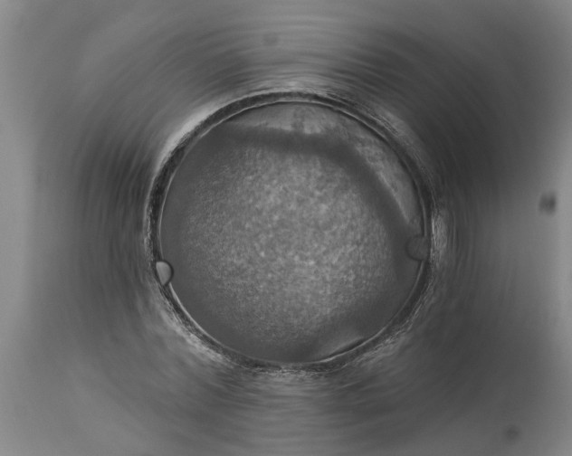 X0000115450780200911181546