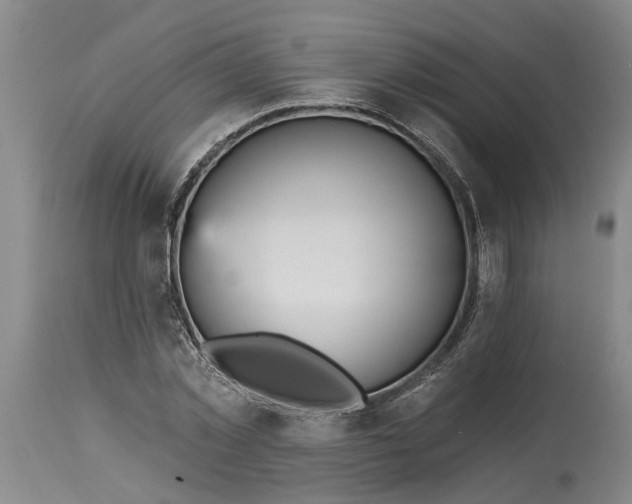 X0000115450781200911181546