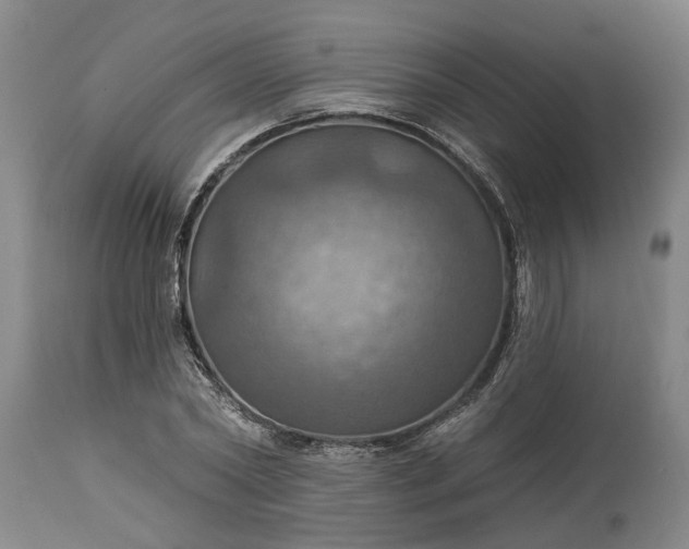 X0000115450782200911181546