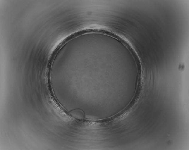 X0000115450783200911181546