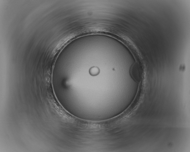 X0000115450785200911181546