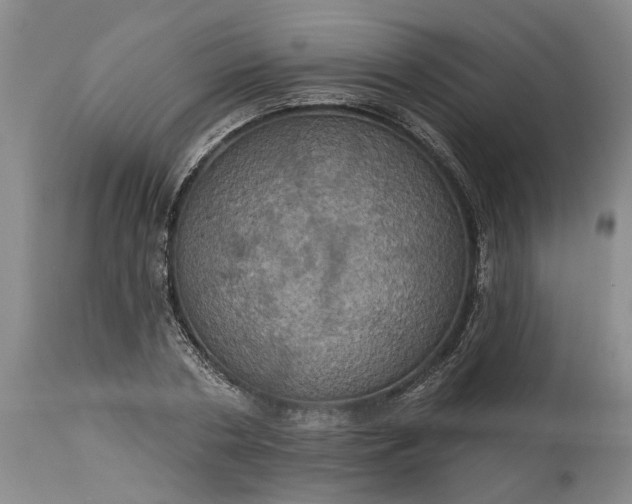 X0000115450786200911181546