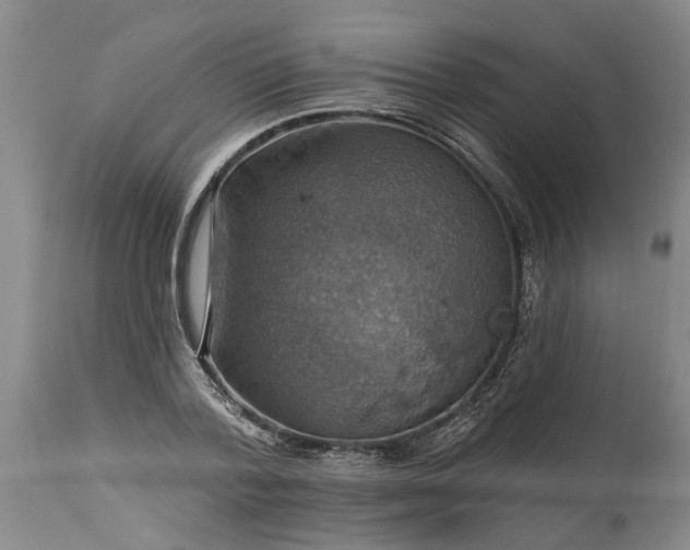 X0000115450788200911181546