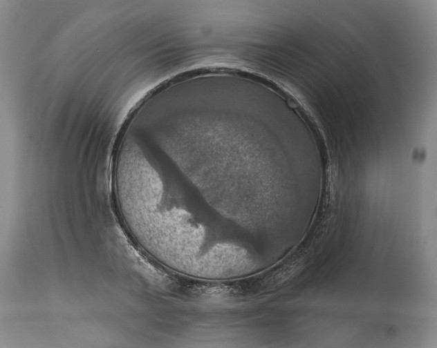 X0000115450791200911181546