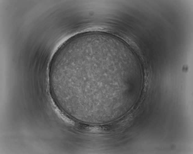 X0000115450792200911181546