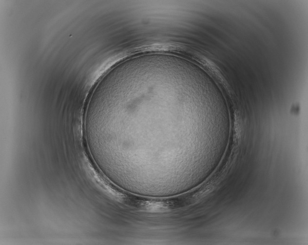 X0000115450794200911181546