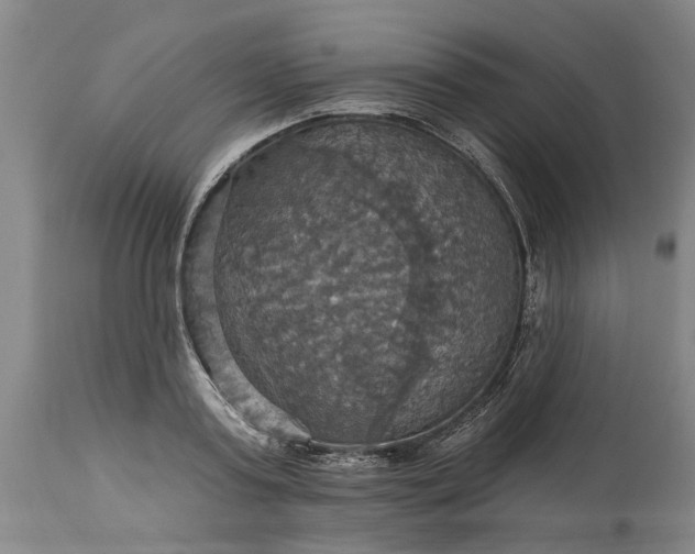 X0000115450795200911181546